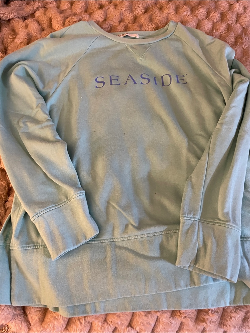 Stateside Crewneck Sweatshirt in Light Aqua with Blue Logo